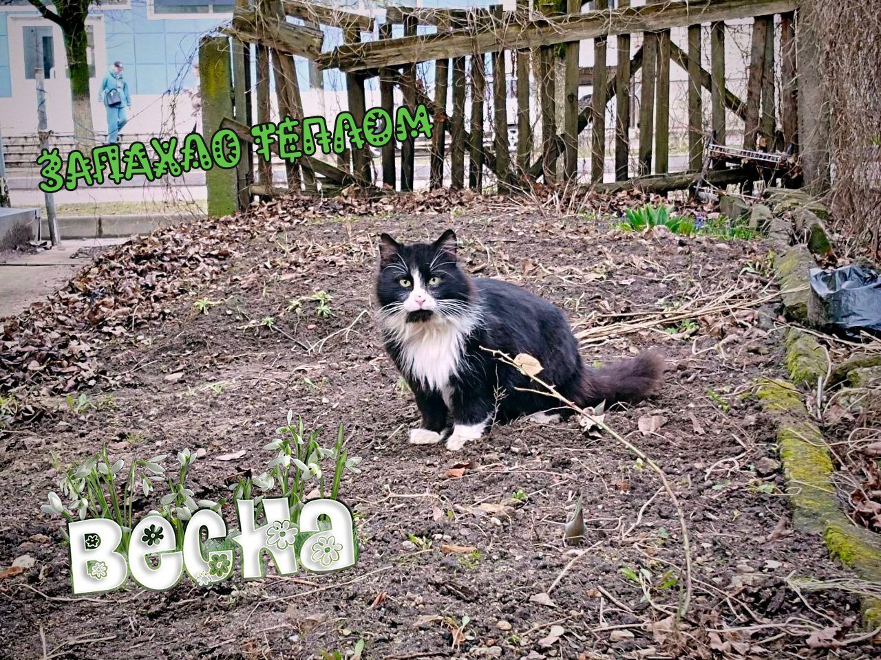 Всем хороших и теплых выходных ☀️ можно смело отправляться на прогулку на свежем весеннем воздухе.