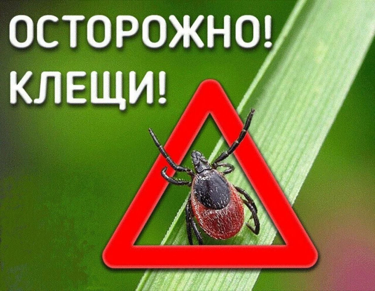 Информация о профилактике инфекций, передающихся иксодовыми клещами..