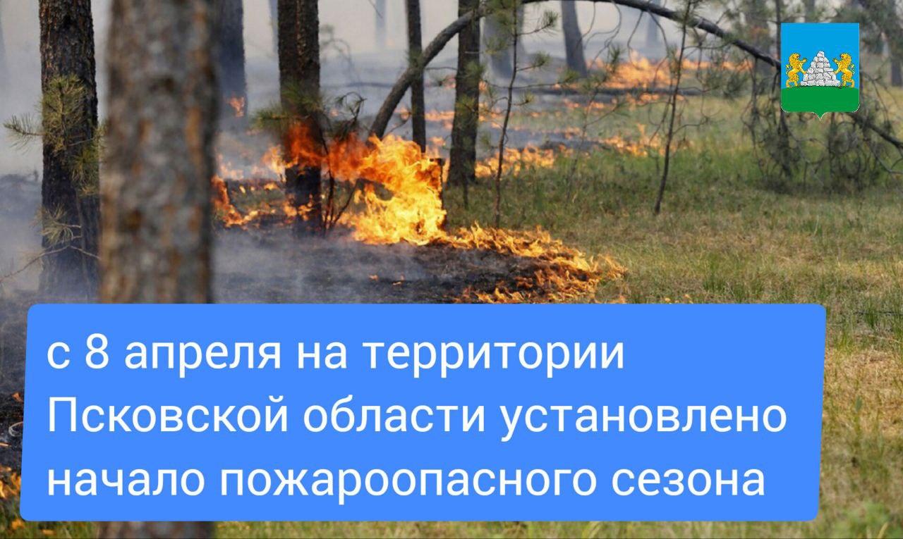 С 08 апреля 2024 года установлено начало пожароопасного сезона на всей территории Псковской области.