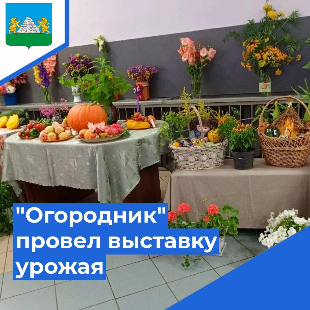 В Опочке прошел ежегодный праздник урожая.