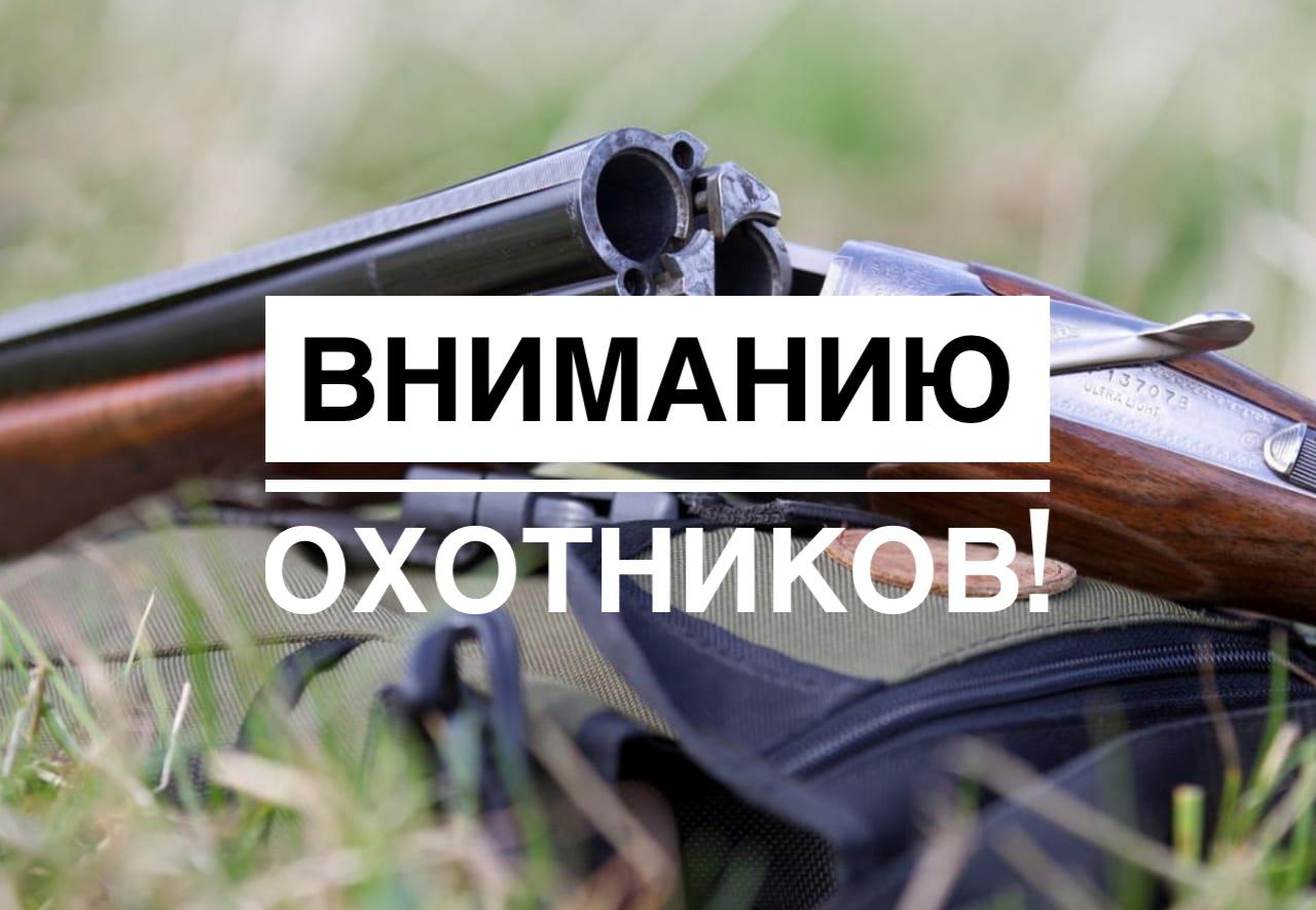 Уведомление о проведении общественного обсуждения материалов, обосновывающих лимиты и квоты добычи охотничьих ресурсов на территории Псковской области, на период с 1 августа 2025 г. до 1 августа 2026 г..