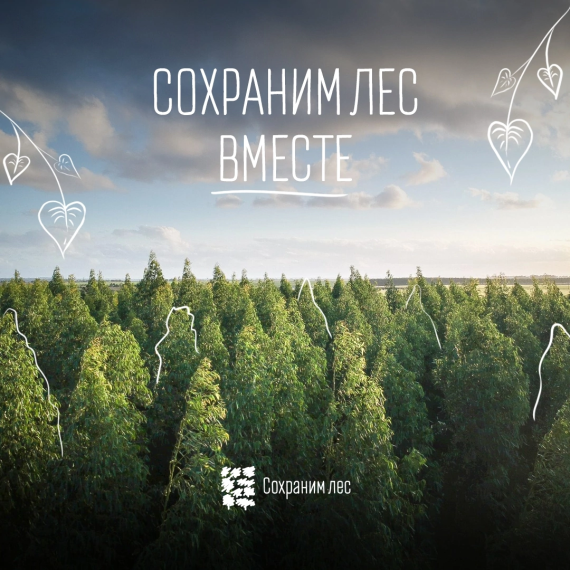 В России появится почтовый лес. В России появится почтовый лес.