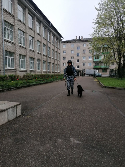 В школах Опочецкого округа прошли Всероссийские антитеррористические учения. В школах Опочецкого округа прошли Всероссийские антитеррористические учения.