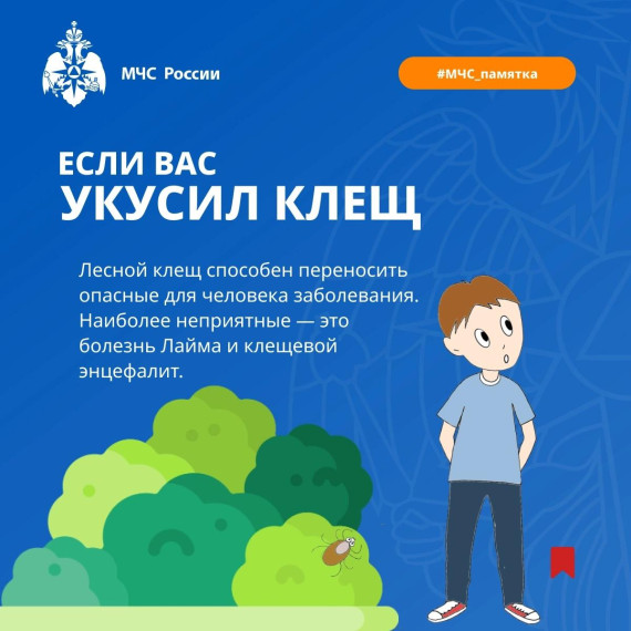 С наступлением теплой погоды увеличивается риск происшествий, связанных с укусами клещей. С наступлением теплой погоды увеличивается риск происшествий, связанных с укусами клещей.
