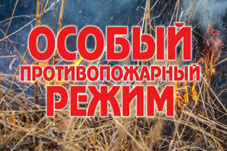 Введен противопожарный режим. Введен противопожарный режим.