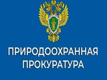 Итоги работы Псковской природоохранной межрайонной прокуратуры в 2023 году. Итоги работы Псковской природоохранной межрайонной прокуратуры в 2023 году.