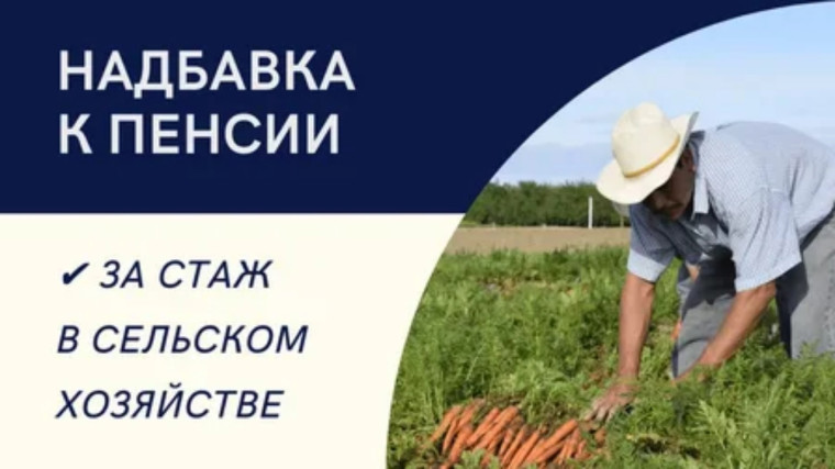 Более 5 тысяч жителей Псковской области получают доплату к пенсии за «сельский стаж». Более 5 тысяч жителей Псковской области получают доплату к пенсии за «сельский стаж».