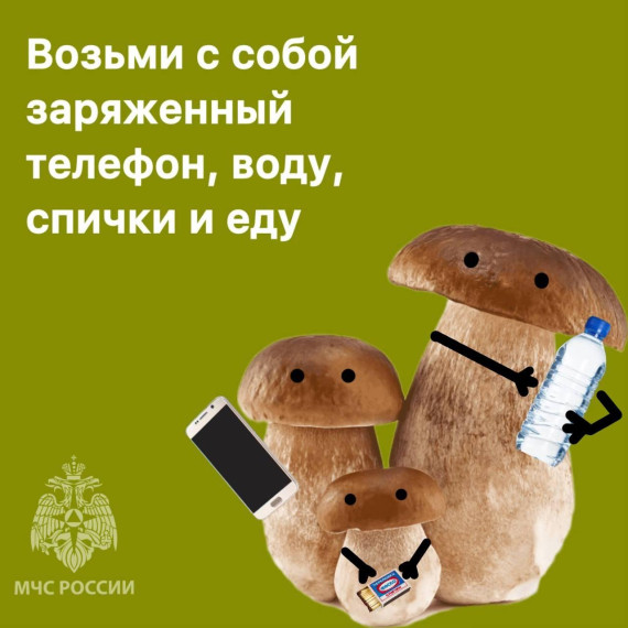 #СоветДня грибникам от МЧС Псковской области. #СоветДня грибникам от МЧС Псковской области.