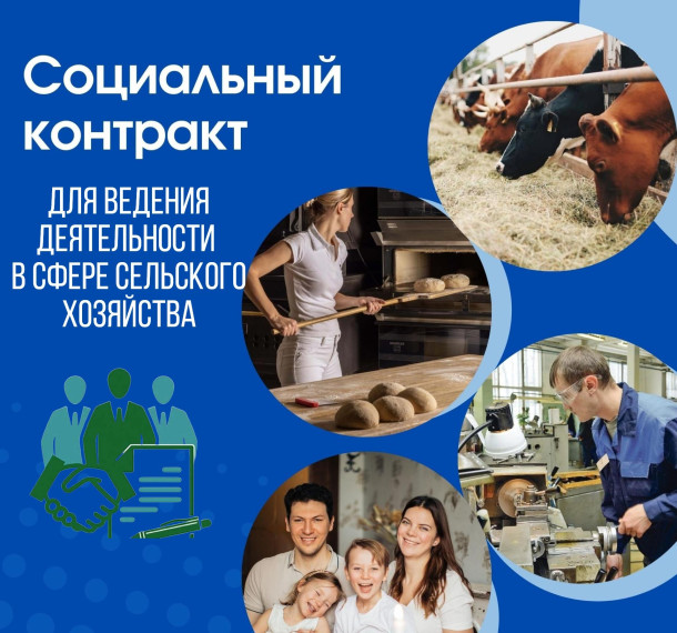 Информация для жителей Опочки о заключении социального контракта. Информация для жителей Опочки о заключении социального контракта.